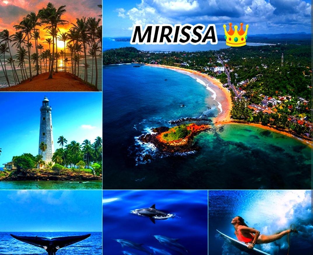 Mirissa Villa Green Pepper 외부 사진